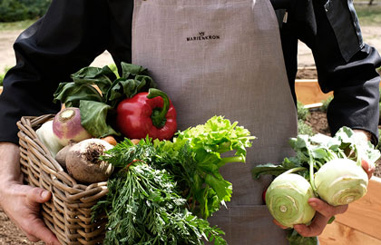 Koch hält frisches Gemüse in den Händen, Blog, Saisonal und Regional, Kurhaus, Retreat und Healthresort Marienkron